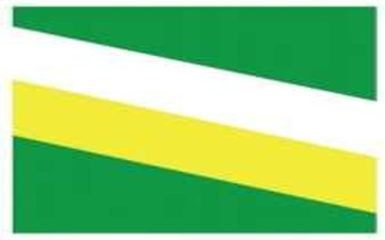 Bandera Institucional Colegio Cooperativo